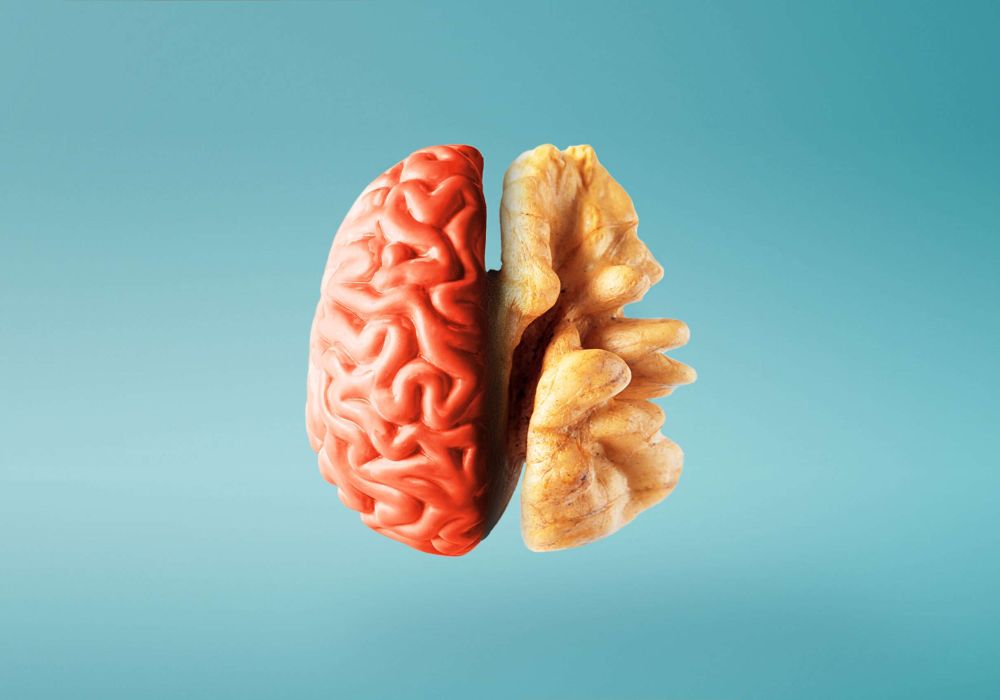 Intelligenza sessuale