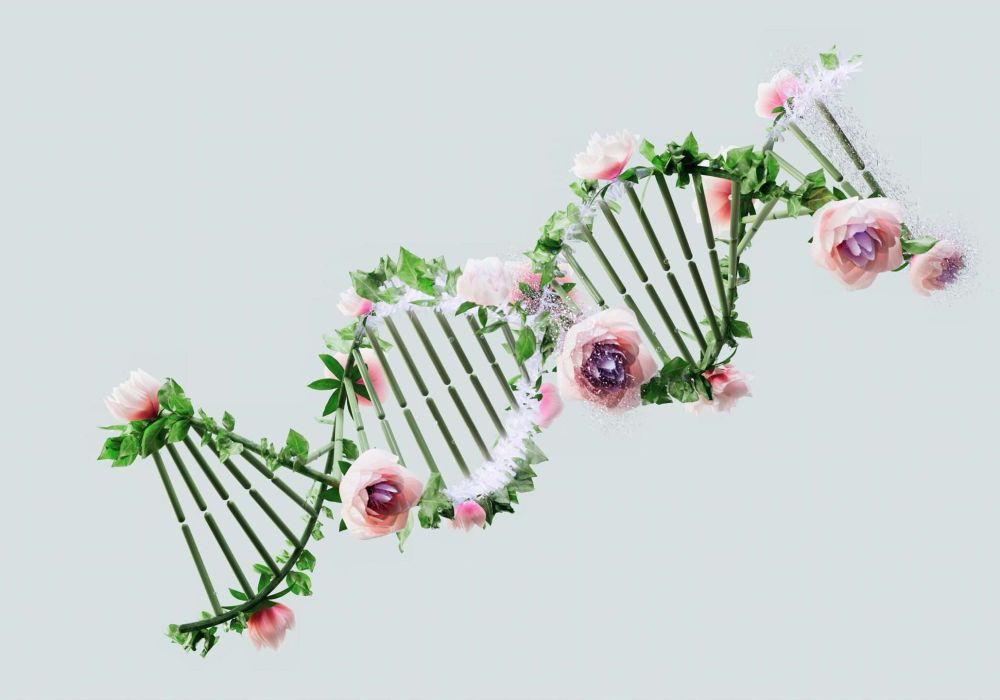 L'Intreccio Complesso tra Genetica e Sessualità: Alla Scoperta dei Desideri Umani